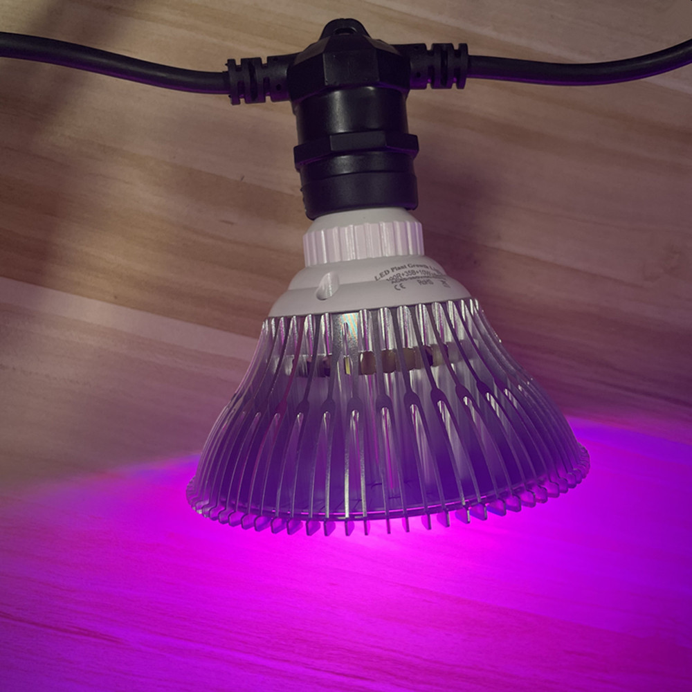 10M Kabel LED, komercyjna jako – Led Fairy String Lights recenzja i cena